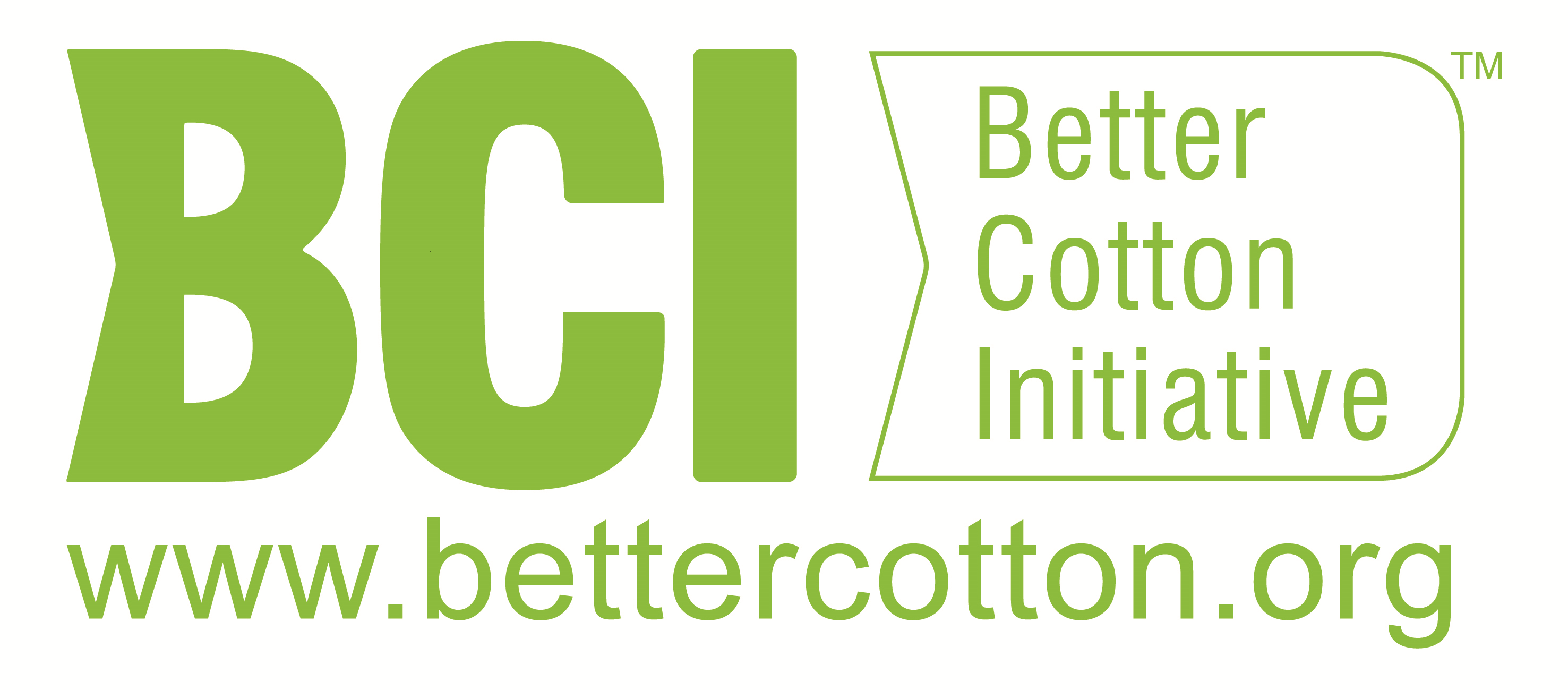 BCI LOGO